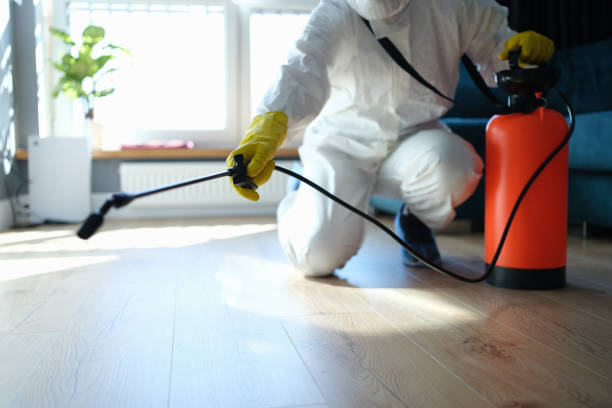 Reliable Biohazard contractor in Summerfield, IL by Trauma Clean Pros